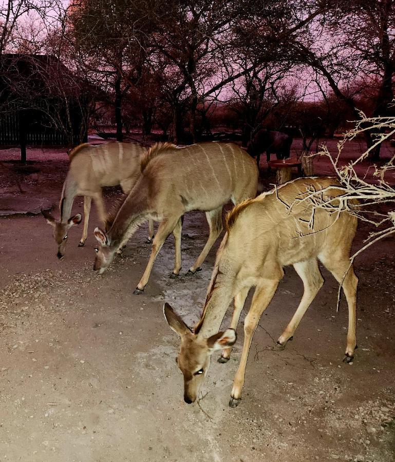 マールロス・パークKudus Crest Bush Retreatアパートメント エクステリア 写真