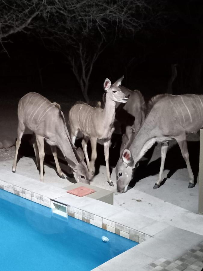 マールロス・パークKudus Crest Bush Retreatアパートメント エクステリア 写真